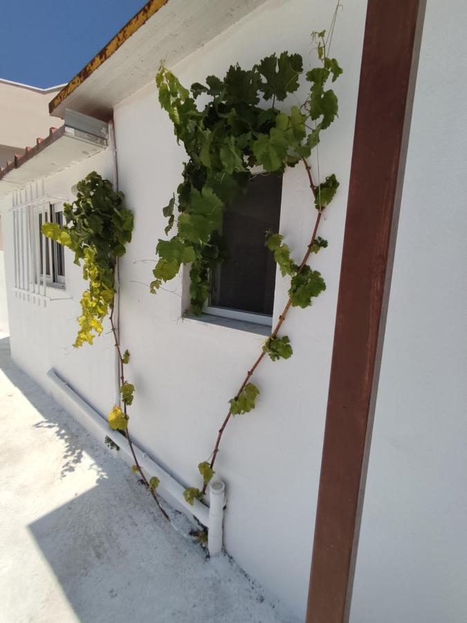 House Of Sun Apartment Fanes  ภายนอก รูปภาพ
